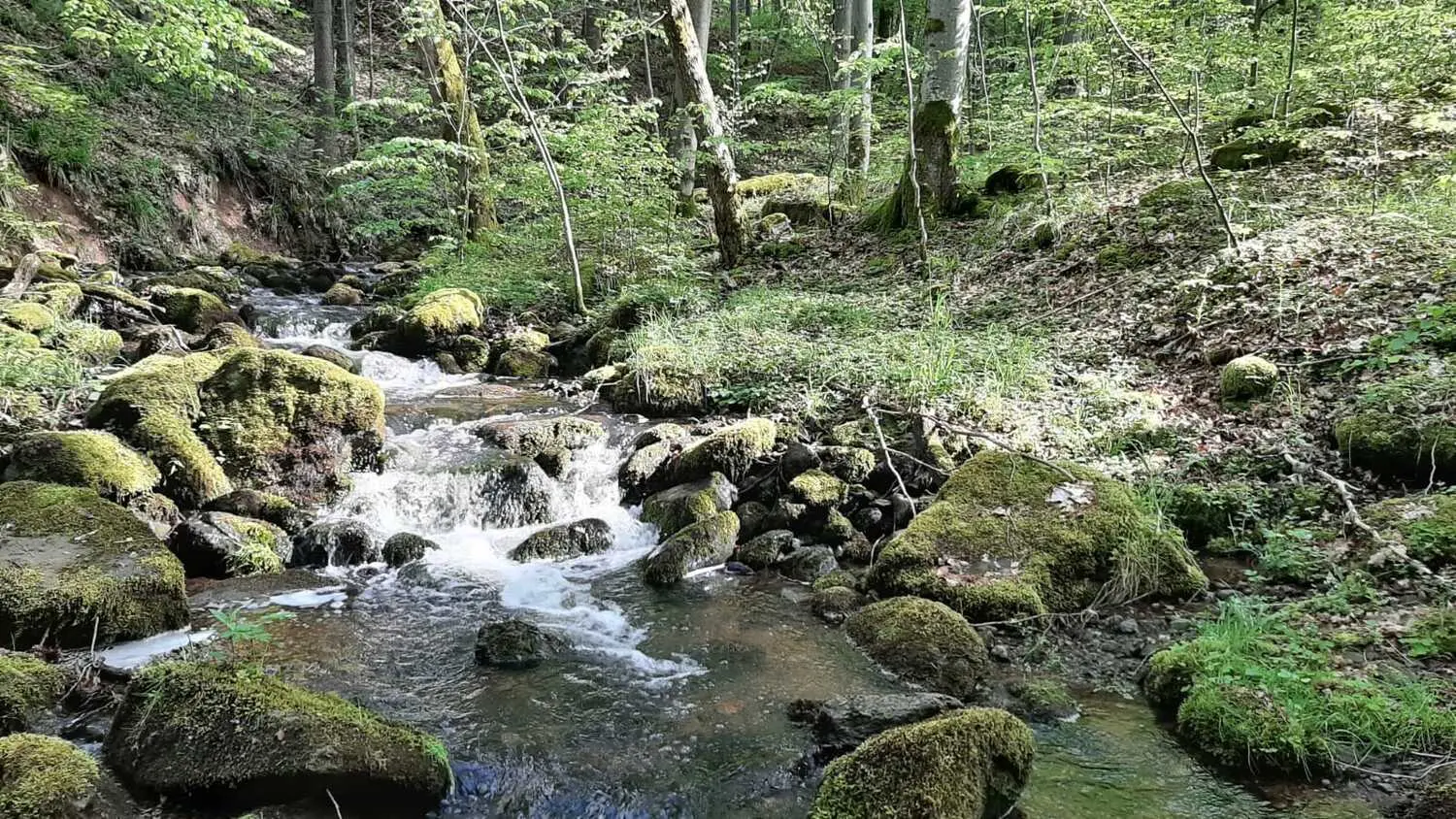 Wasserfall im Wald von Anima Sussuri Seelengeflüster